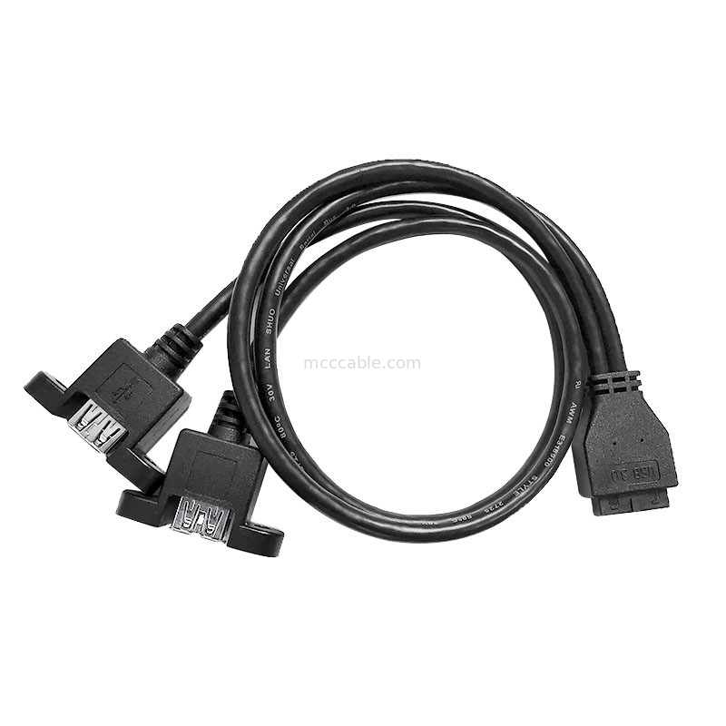 Platten-Berg USBs 3,0 ein x2 20 Pin Header Motherboard Custom Wire zum Geschirr