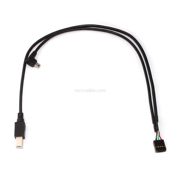 10 Pin 30AWG 2.54mm Neigung Länge Molex 22-55-2101 des Molex-Kabel-150mm