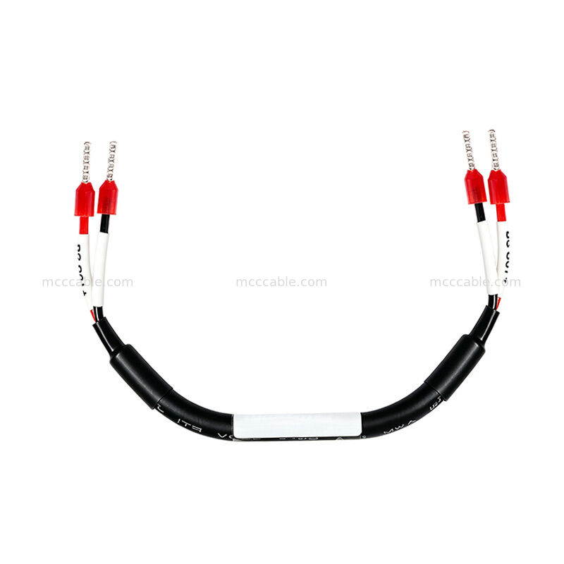 Custom 24V 18AWG 2-Conductor Ferrule Power Cable Assembly for Industrial Equipment